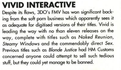 File:CES 1995 - Vivid Interactive News 3DO Magazine (UK) Feb Issue 2 1995.png