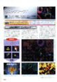 3DO Magazine Live Issue 15 - Clockwerx Overview