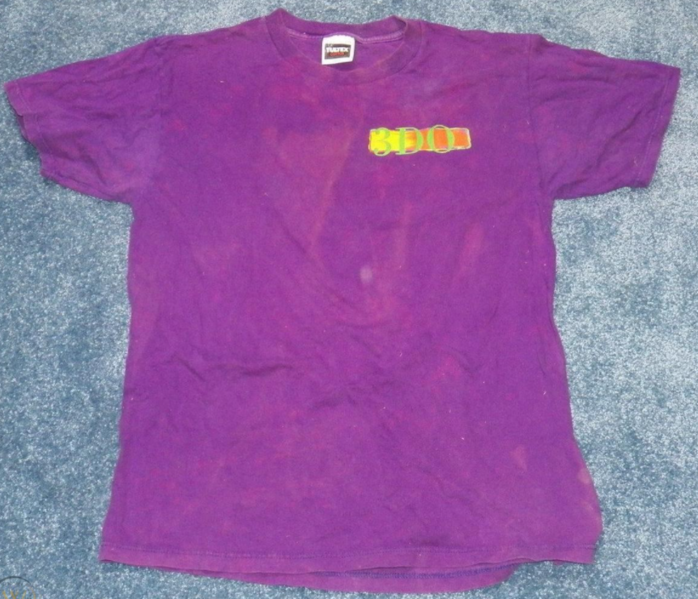 File:3DO What Are You Playing With Purple T Shirt 1.png