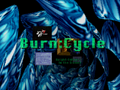 Burn Cycle Section 1