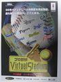 Pro Virtual Baseball Stadium Game Flyer